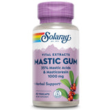 Solaray Mastic Gum